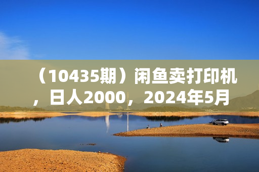（10435期）闲鱼卖打印机，日人2000，2024年5月最新玩法教程