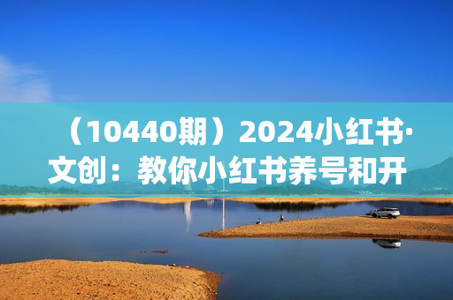 （10440期）2024小红书·文创：教你小红书养号和开店、抓住小风口 一年一百万 (9节课)