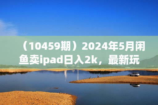 （10459期）2024年5月闲鱼卖ipad日入2k，最新玩法教学