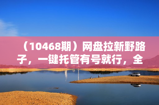 （10468期）网盘拉新野路子，一键托管有号就行，全自动代发视频，每日躺赚500＋