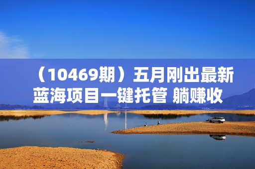 （10469期）五月刚出最新蓝海项目一键托管 躺赚收益分成 日产无上限