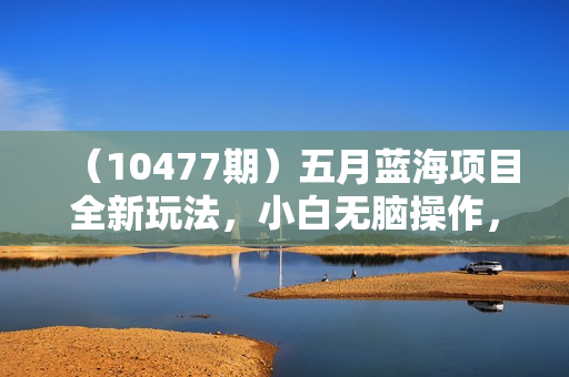 （10477期）五月蓝海项目全新玩法，小白无脑操作，一天几分钟，矩阵操作，月入4万+