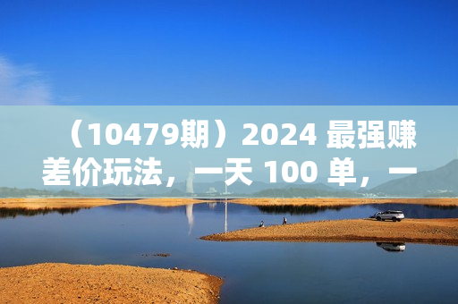 （10479期）2024 最强赚差价玩法，一天 100 单，一单利润 20-30，只要做就能赚，简