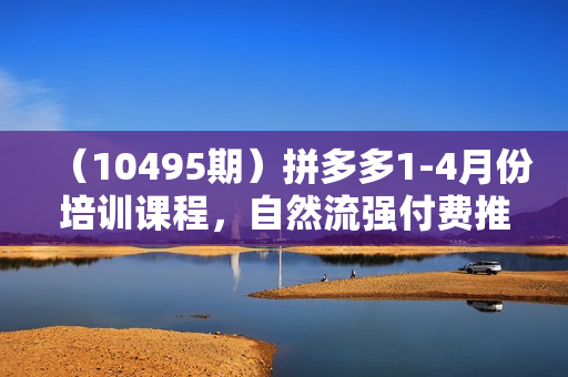 （10495期）拼多多1-4月份培训课程，自然流强付费推广全套打法和细节（86节课）