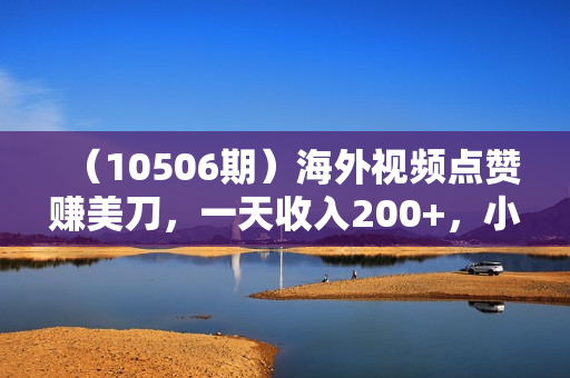 （10506期）海外视频点赞赚美刀，一天收入200+，小白长期可做