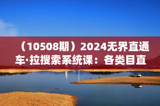 （10508期）2024无界直通车·拉搜索系统课：各类目直通车 拉搜索玩法！