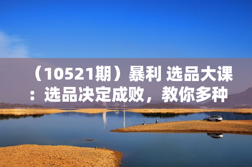 （10521期）暴利 选品大课：选品决定成败，教你多种大爆款选品方法（12节课）