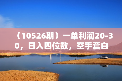 （10526期）一单利润20-30，日入四位数，空手套白狼，只要做就能赚，简单无套路