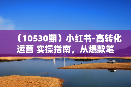 （10530期）小红书-高转化运营 实操指南，从爆款笔记到爆单玩法的链路全打通-19节课