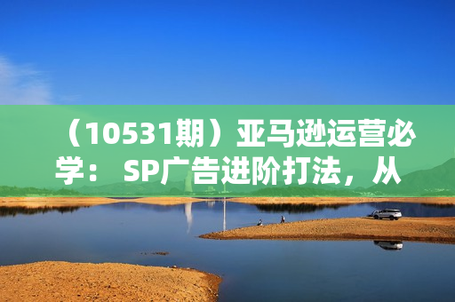 （10531期）亚马逊运营必学： SP广告进阶打法，从广告核心到打造爆款链接-15节课