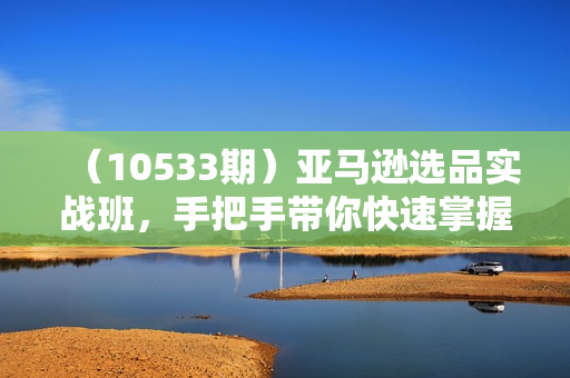（10533期）亚马逊选品实战班，手把手带你快速掌握亚马逊选品的技巧（20节课）