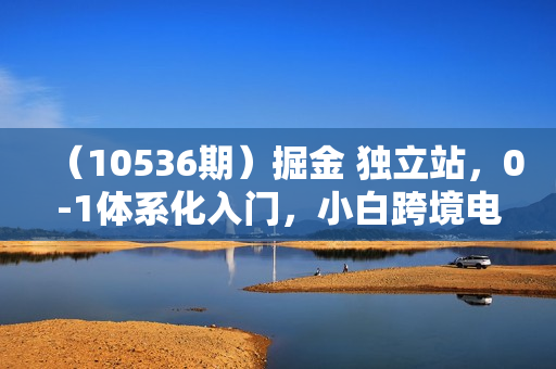 （10536期）掘金 独立站，0-1体系化入门，小白跨境电商指南（11节视频课）