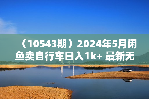 （10543期）2024年5月闲鱼卖自行车日入1k+ 最新无货源赚钱教学