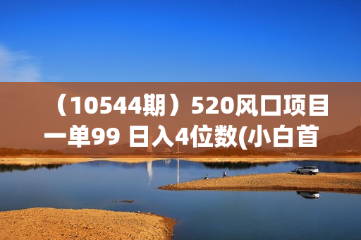（10544期）520风口项目一单99 日入4位数(小白首选，闭眼做！)