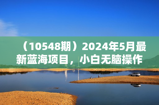（10548期）2024年5月最新蓝海项目，小白无脑操作，轻松上手，日入1000+