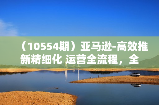 （10554期）亚马逊-高效推新精细化 运营全流程，全方位、快速 拉升产品排名和销量