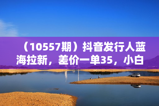 （10557期）抖音发行人蓝海拉新，差价一单35，小白一部手机即可操作，日入3000+