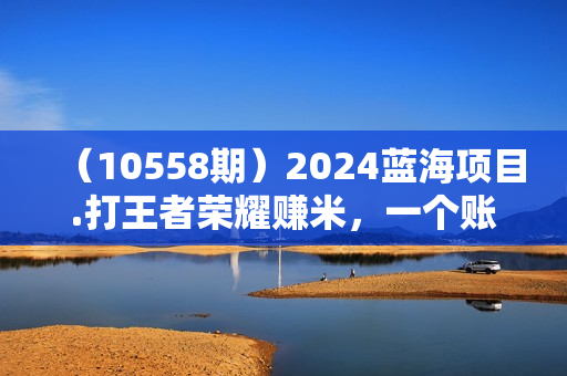（10558期）2024蓝海项目.打王者荣耀赚米，一个账号单日收入999+，福利项目