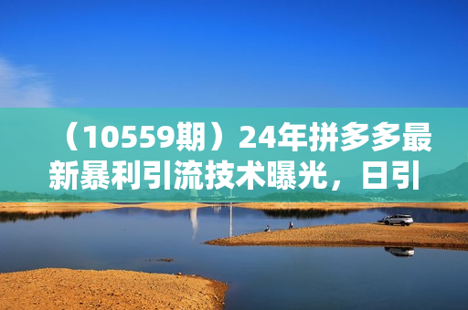 （10559期）24年拼多多最新暴利引流技术曝光，日引300+付费创业粉，操作简单，流量