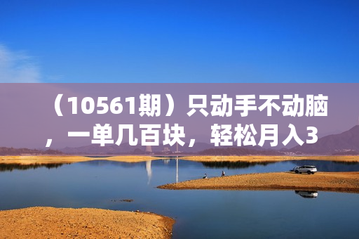 （10561期）只动手不动脑，一单几百块，轻松月入3w+，看完就能直接操作，详细教程