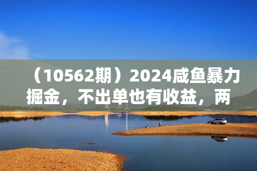 （10562期）2024咸鱼暴力掘金，不出单也有收益，两小时见效，当天突破500+