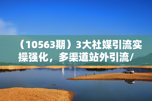 （10563期）3大社媒引流实操强化，多渠道站外引流/高效精准获客/订单销售额翻倍增长