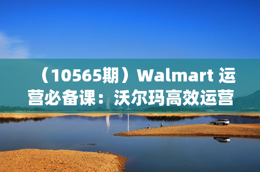 （10565期）Walmart 运营必备课：沃尔玛高效运营技巧详细讲解 (15节课)