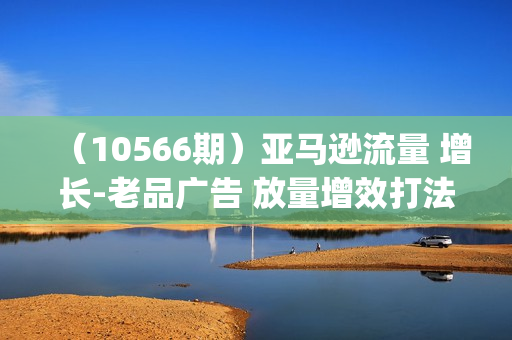 （10566期）亚马逊流量 增长-老品广告 放量增效打法/销量翻倍/打造更多TOP listing