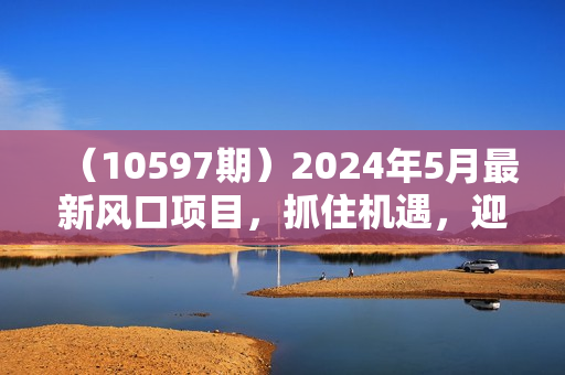 （10597期）2024年5月最新风口项目，抓住机遇，迎接挑战，月入3w+，不再是梦