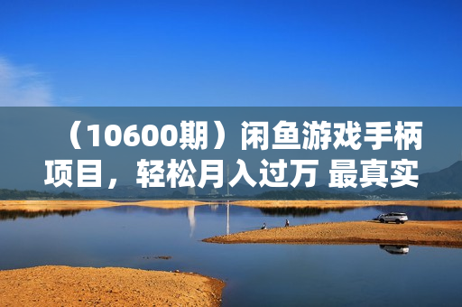 （10600期）闲鱼游戏手柄项目，轻松月入过万 最真实的好项目