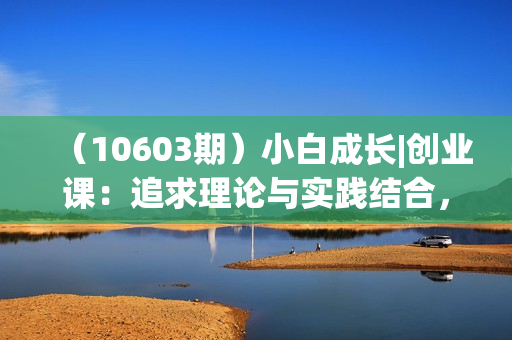 （10603期）小白成长|创业课：追求理论与实践结合，踏实落地，有尊严的持续赚钱-42节
