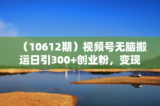 （10612期）视频号无脑搬运日引300+创业粉，变现1W+可批量复制