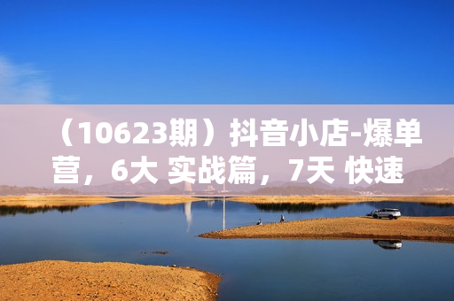 （10623期）抖音小店-爆单营，6大 实战篇，7天 快速起爆，标签暴力玩法（41节课）