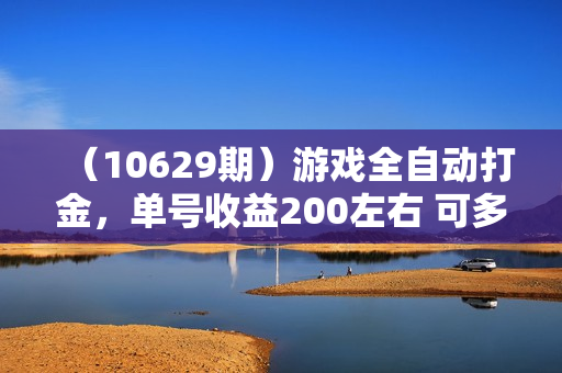（10629期）游戏全自动打金，单号收益200左右 可多号操作