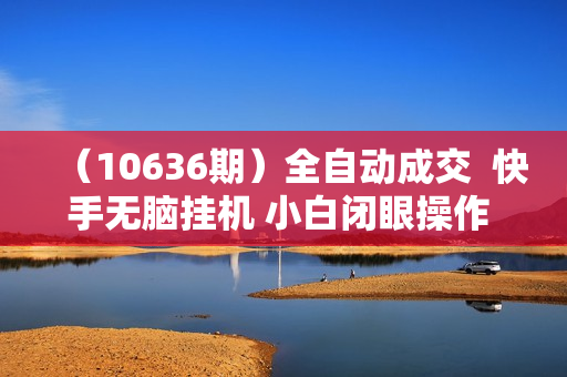 （10636期）全自动成交  快手无脑挂机 小白闭眼操作 轻松日入1000+ 操作简单 当天