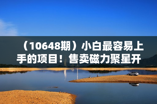 （10648期）小白最容易上手的项目！售卖磁力聚星开通码，一单20，一天十几单，轻松