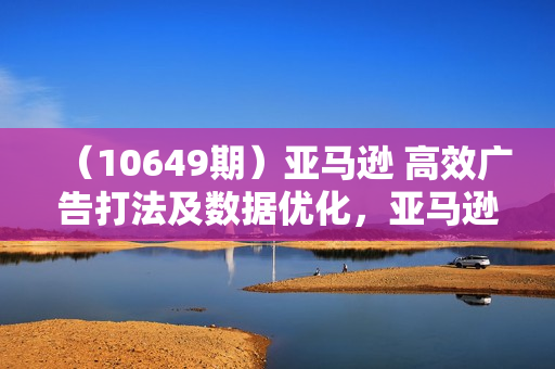 （10649期）亚马逊 高效广告打法及数据优化，亚马逊高阶广告打法课（36节）
