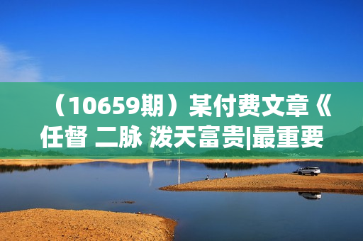 （10659期）某付费文章《任督 二脉 泼天富贵|最重要的基石 就是神来之笔的开窍|万字》