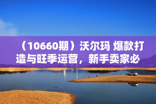 （10660期）沃尔玛 爆款打造与旺季运营，新手卖家必看（11节视频课）