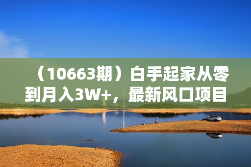 （10663期）白手起家从零到月入3W+，最新风口项目-工业风扇赚钱教学