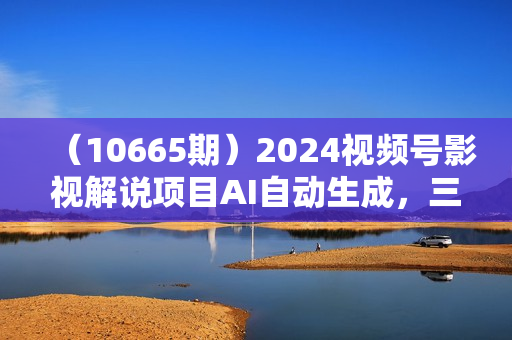 （10665期）2024视频号影视解说项目AI自动生成，三分钟轻松搞定内容，100%过原