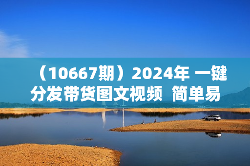 （10667期）2024年 一键分发带货图文视频  简单易上手 无脑赚收益 每天半小时日入1