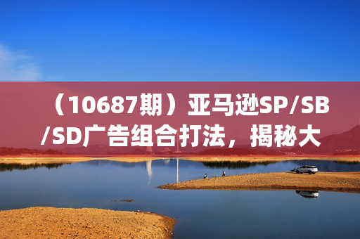 （10687期）亚马逊SP/SB/SD广告组合打法，揭秘大卖利润暴涨7倍战术 (9节课)