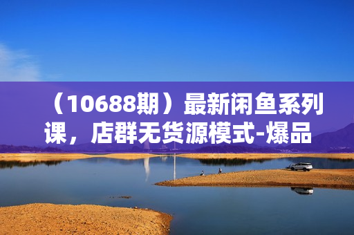 （10688期）最新闲鱼系列课，店群无货源模式-爆品打造硬件+软件+人工（20节课）