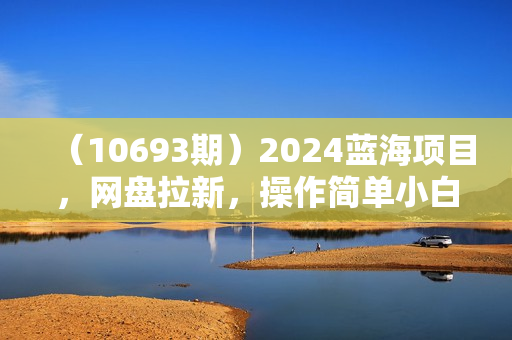 （10693期）2024蓝海项目，网盘拉新，操作简单小白日入2000+，一键托管代发视频，