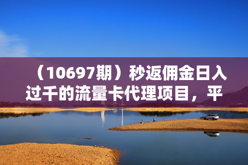 （10697期）秒返佣金日入过千的流量卡代理项目，平均推出去一张流量卡佣金150