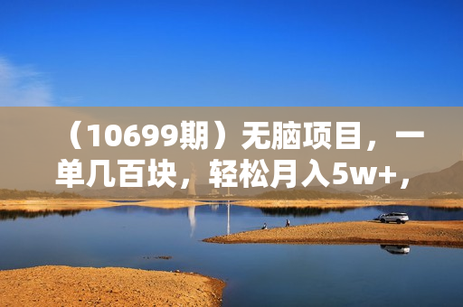 （10699期）无脑项目，一单几百块，轻松月入5w+，看完就能直接操作