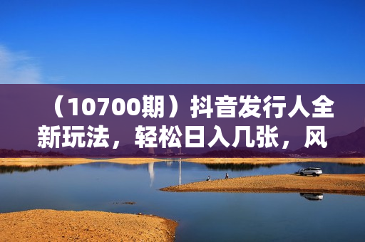 （10700期）抖音发行人全新玩法，轻松日入几张，风口信息差玩法，日入3000+，当天