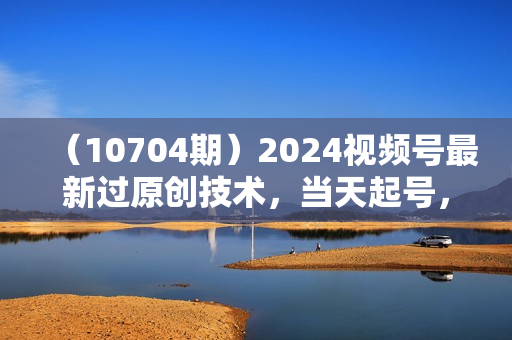 （10704期）2024视频号最新过原创技术，当天起号，收益稳定，月入3W+