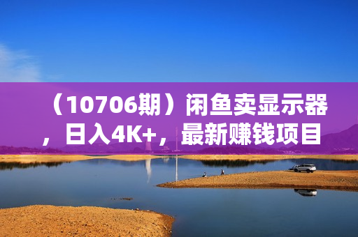 （10706期）闲鱼卖显示器，日入4K+，最新赚钱项目教学